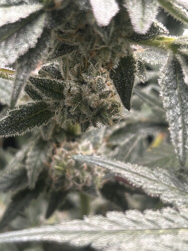 Growreport Bild 24