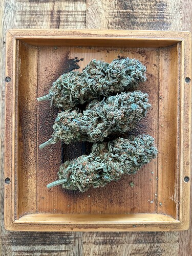 Drei getrimmte Cannabis-Buds liegen auf einem hölzernen Tablett.