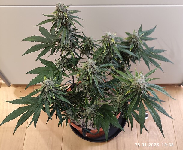 Growreport Bild 10