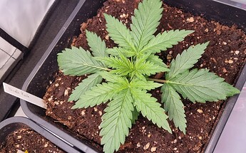 WhatsApp Image 2024-05-09 at 11.13.02 (2)