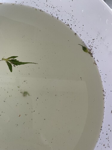 Growreport Bild 18