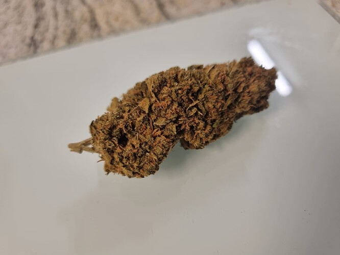 Ein einzelner Cannabis-Bud mit braunen und grünen Farbtönen, der auf einer glatten, weißen Oberfläche liegt.