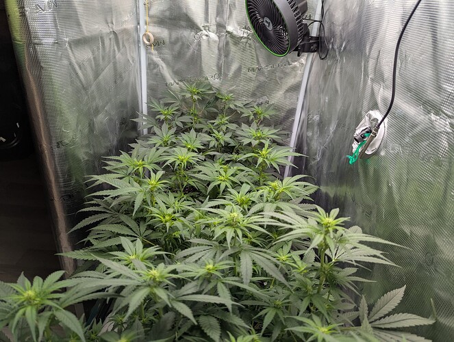 PXL_20250710_181318478.MP