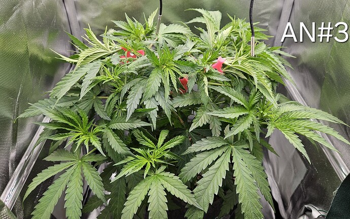 Growreport Bild 12