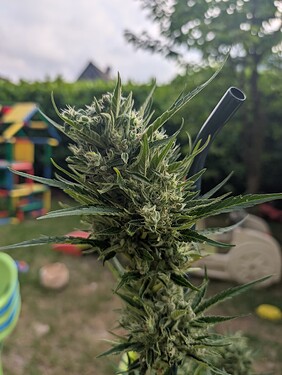 Growreport Bild 18