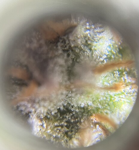 Growreport Bild 13