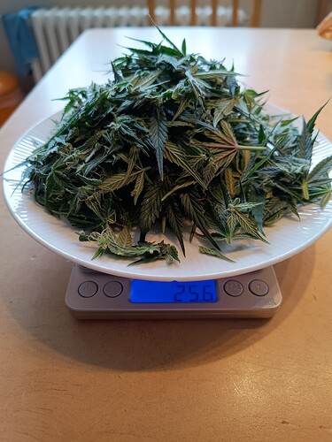 Growreport Bild 11