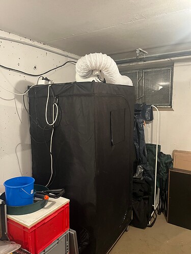 Foto 25.11.24, 17 08 18