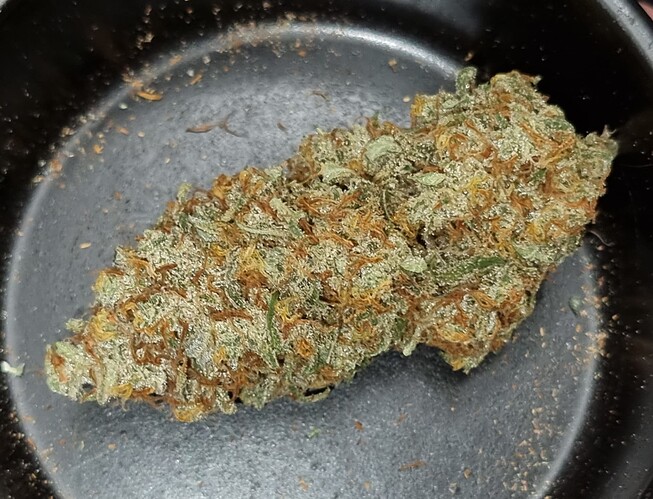 Growreport Bild 17
