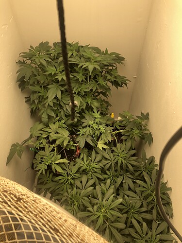 Growreport Bild 11