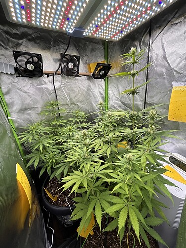 Growreport Bild 1