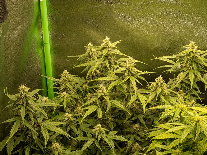 Growreport Bild 9