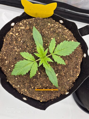 Growreport Bild 17