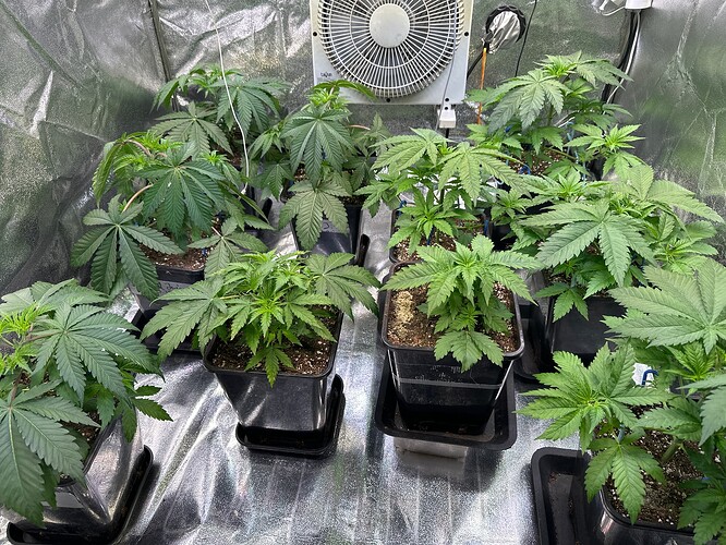 Growreport Bild 5
