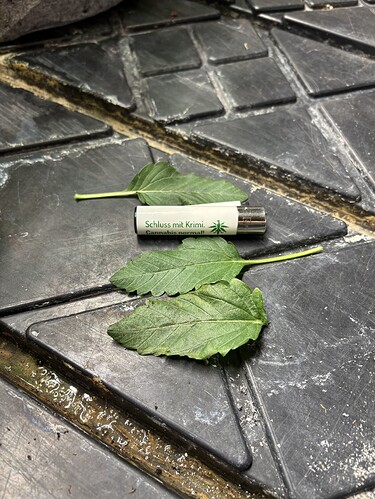 Growreport Bild 13