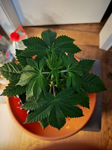 Growreport Bild 7