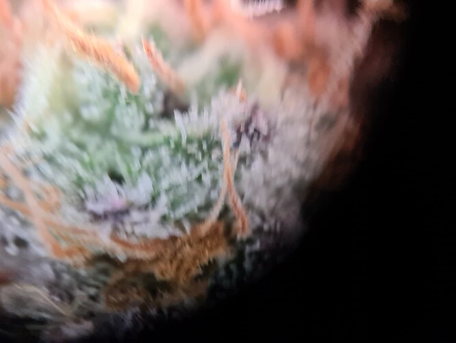Growreport Bild 26