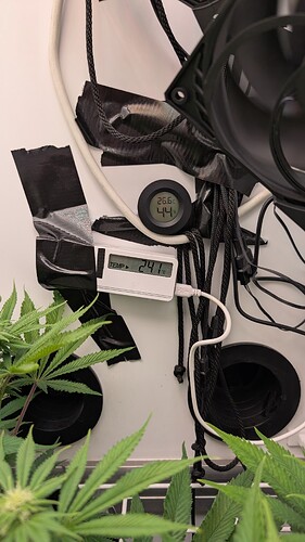 Growreport Bild 25