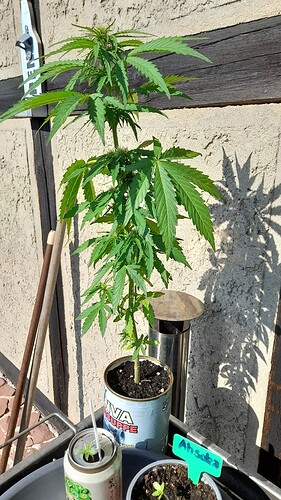 Growreport Bild 13