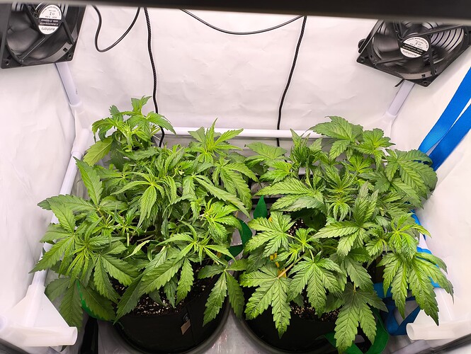 Growreport Bild 21
