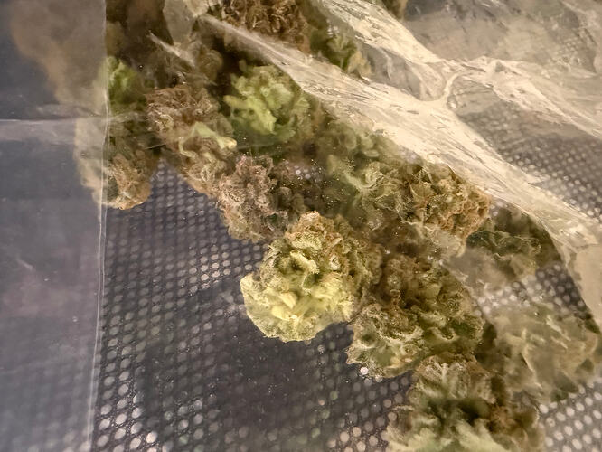 Growreport Bild 9