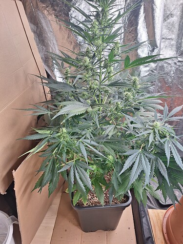 Growreport Bild 16
