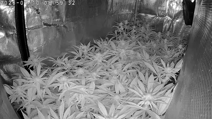 Foto 10.01.26, 06 14 05