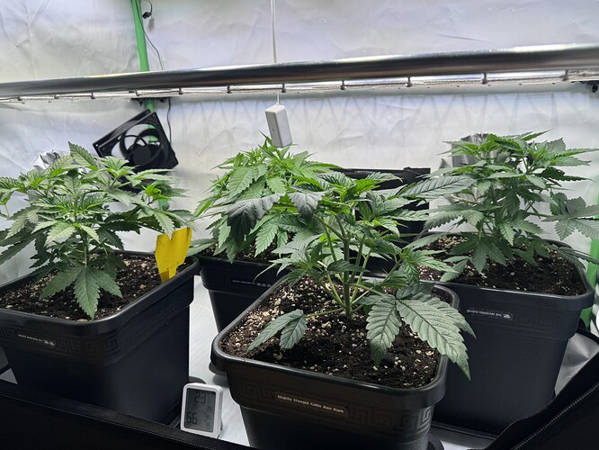 Growreport Bild 22
