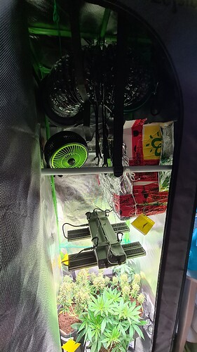 Growreport Bild 20