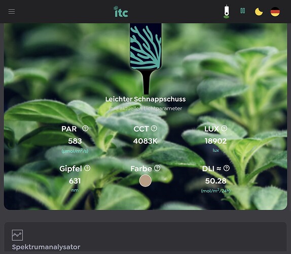 Growreport Bild 33