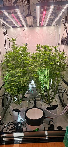 Growreport Bild 14