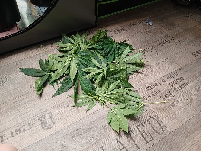 Growreport Bild 13