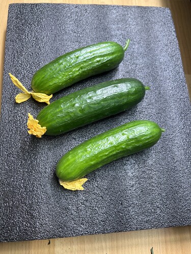 Growreport Bild 19