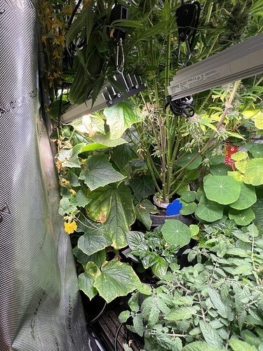 Growreport Bild 9