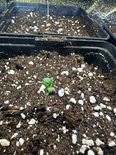 Growreport Bild 30