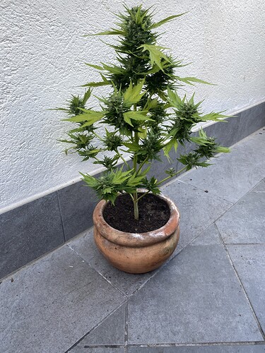 Growreport Bild 7