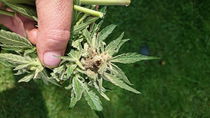 Growreport Bild 16