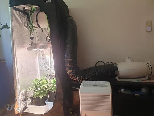 29 Tage_2025-05-25-161957_007