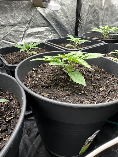 IMG_2248