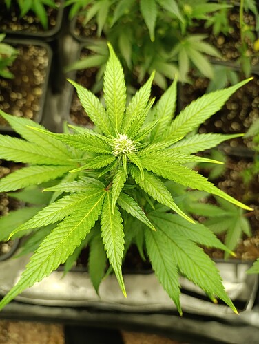 Growreport Bild 7