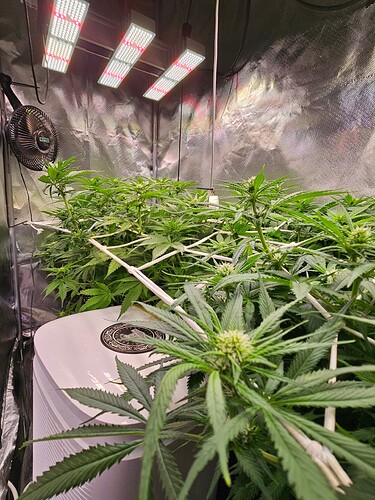 Growreport Bild 8