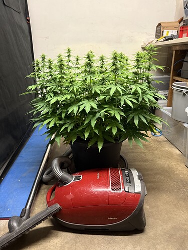 Growreport Bild 20
