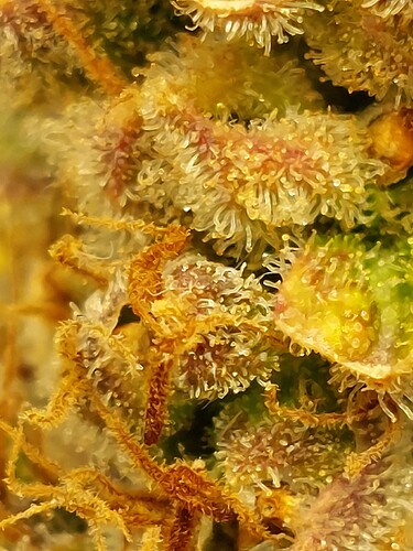 Growreport Bild 26