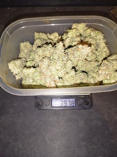 Growreport Bild 3