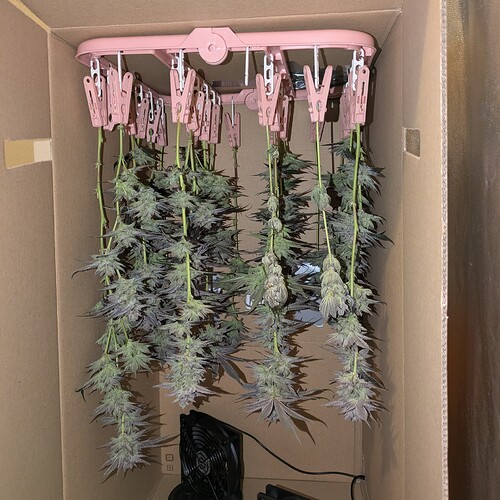 Growreport Bild 10