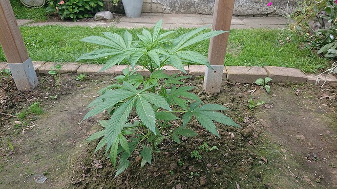 Growreport Bild 30