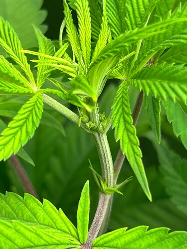 Growreport Bild 11