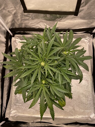 Growreport Bild 14