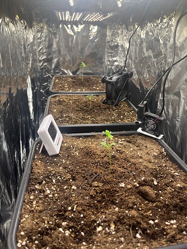 Growreport Bild 5
