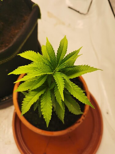 Growreport Bild 17